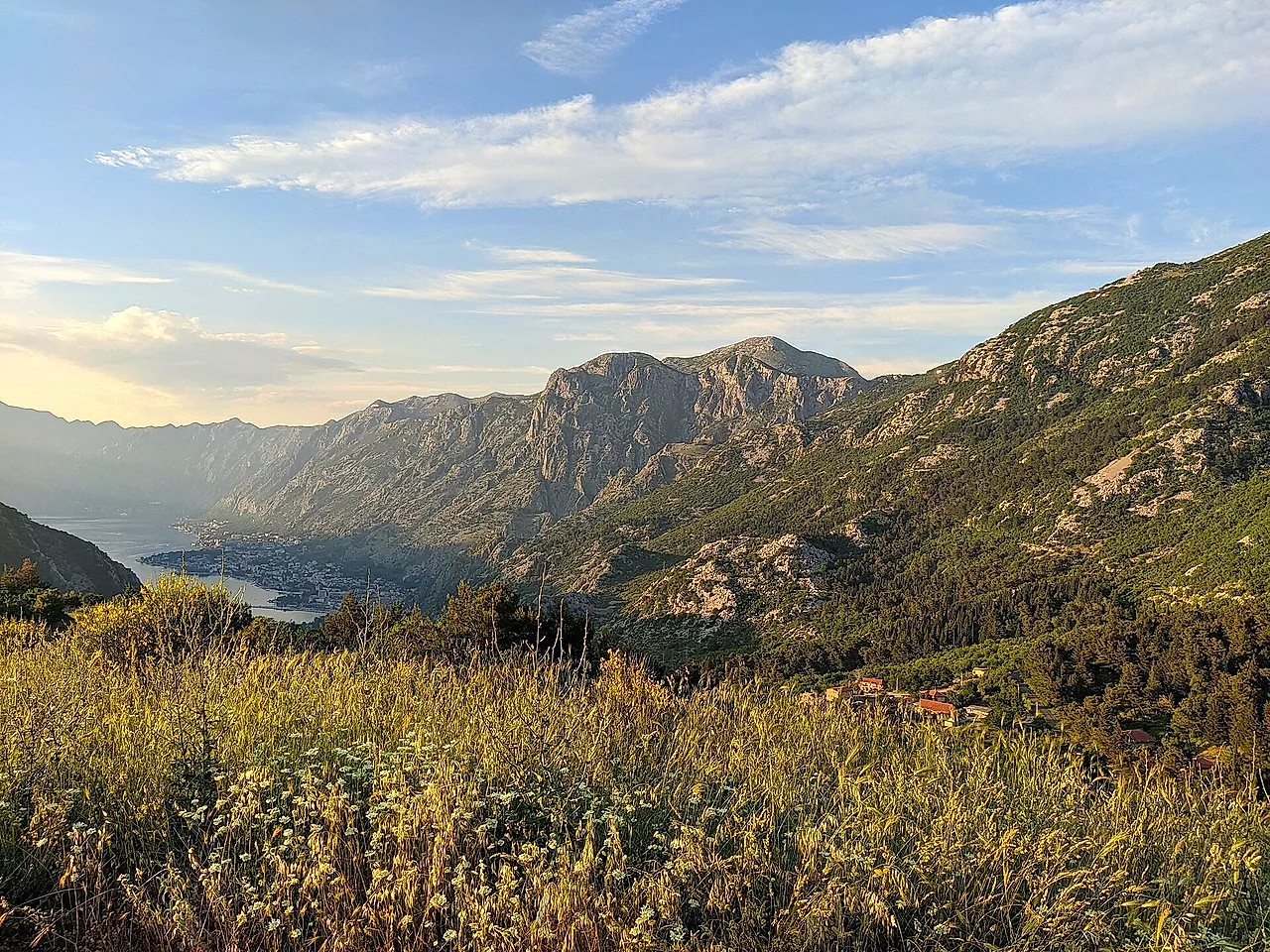 A meadow of tall grass on Mount Lovćen, with the valley and the Bay of Kotor far below in golden light