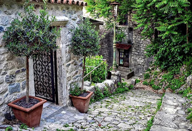 A stone lane in Kotor’s old town, with a wrought-iron door and two potted olive trees